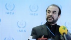 Iran bewertet Amanos Bericht